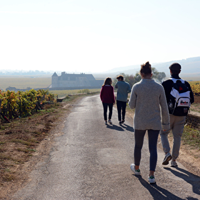 Parenthèse Vigneronne - Groupe