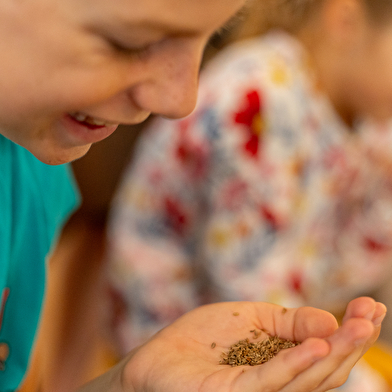 Fabrique des Anis de Flavigny