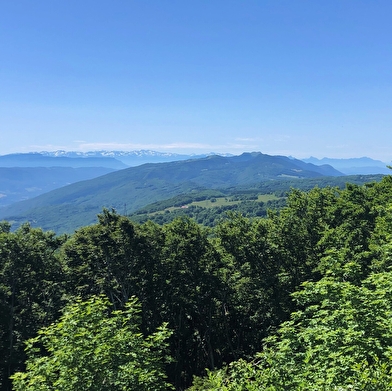 Randonnée sur la Grande Traversée du Jura : 3 jours du Plateau de Retord au Grand Colombier