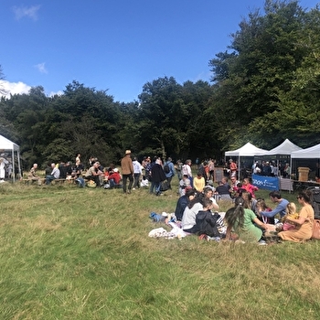 Fantastic Picnic à Bibracte - SAINT-LEGER-SOUS-BEUVRAY