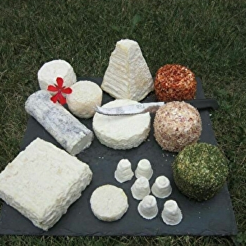 LES MONTANTS - NOYERS