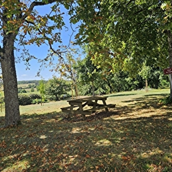 Aire de pique-nique ombragée à côté de l'église - MONT