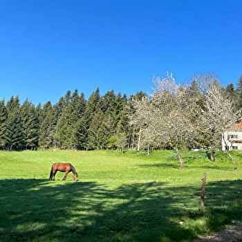 La Ferme des Brosses - PLAIMBOIS-DU-MIROIR