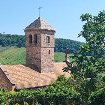 Les NaturGourmandes : Chasselas - CHASSELAS