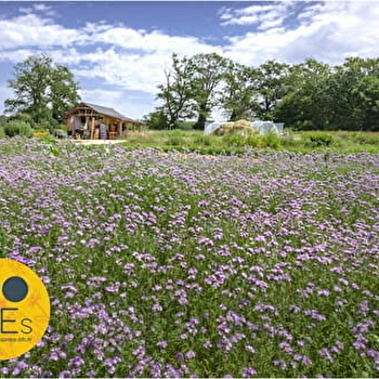 WHICH?GARDEN – le jardin bio qui nourrit la terre, le corps et l’âme ! - ETANG-SUR-ARROUX