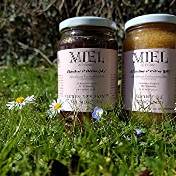 Claudine Gay- Apiculture - REMILLY