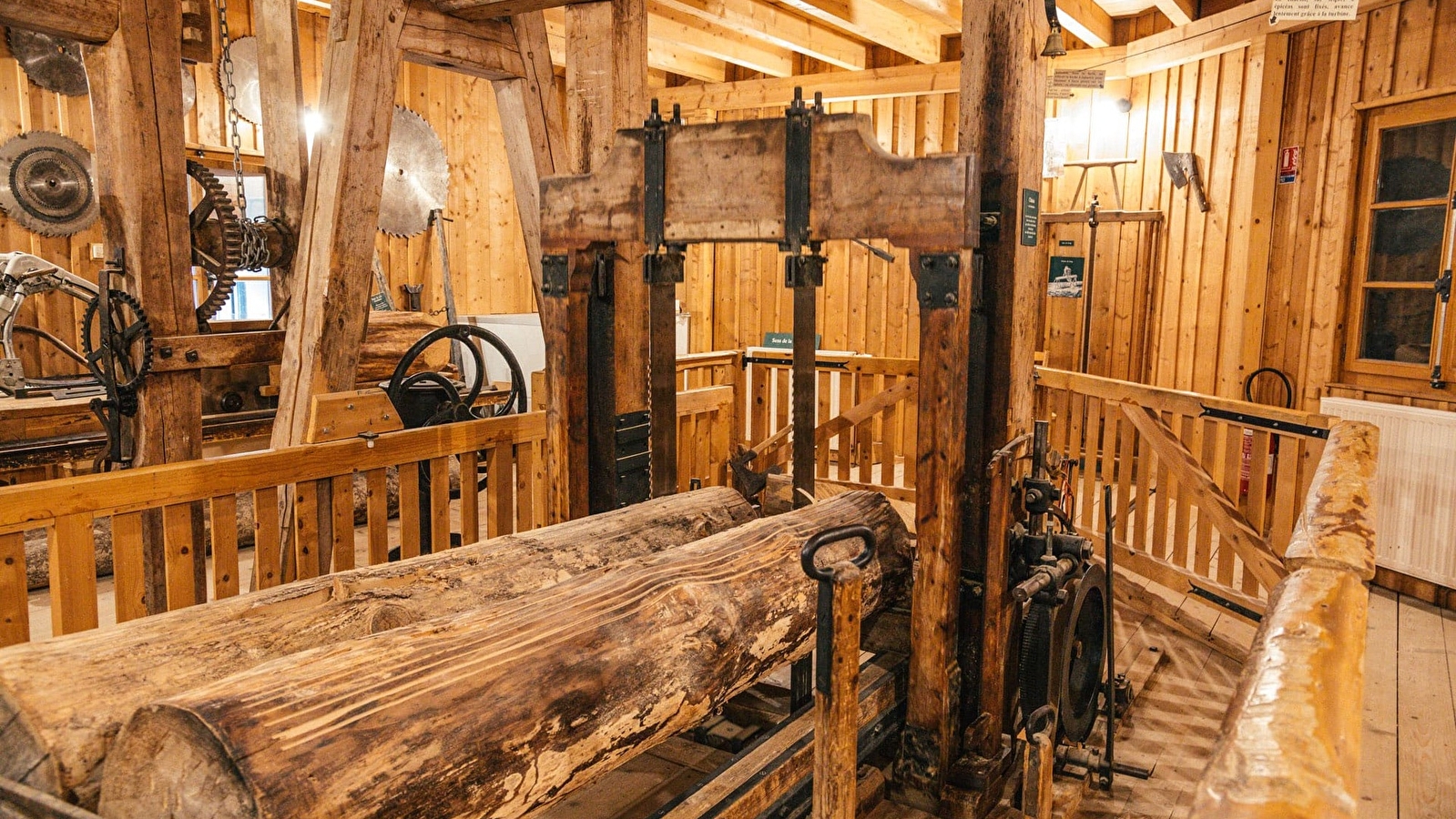 Voyage captivant au pays des boisseliers où l'épicéa est roi!