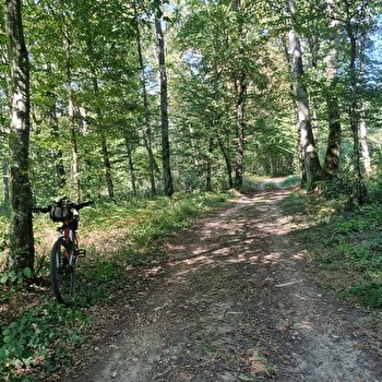Circuit Gravel n°6 (rouge) Chemins des bois de Bresse - BRESSE VALLONS