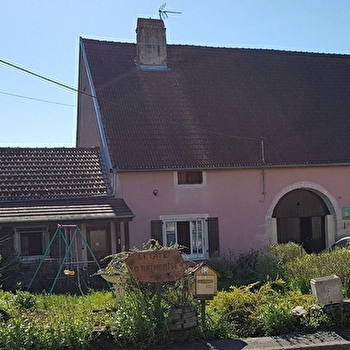 Arthemise - BROTTE-LES-RAY