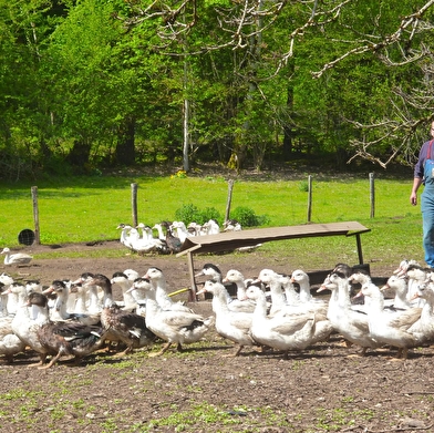 La Ferme de la Maison du Bois