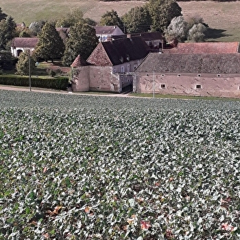 Gîte du pré de la salle - MERRY-SEC