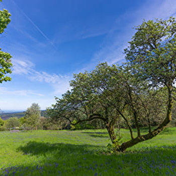 Aire de service pour les campings-cars - SAINT-LEGER-SOUS-BEUVRAY
