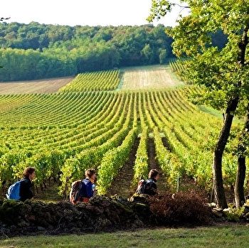 Viré, la montagne et son vignoble - VIRE