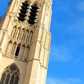 Sens et son jardin secret - SENS