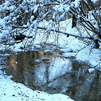 La source Bleue - CHATEAUVIEUX-LES-FOSSES
