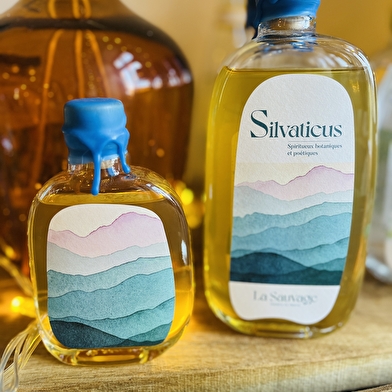 Visite et dégustation de spiritueux locaux