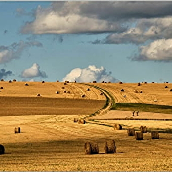 Les lavoirs et la chaume de Thury à cheval - THURY