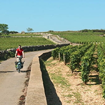 La Voie des Vignes : de Dijon à Santenay - DIJON