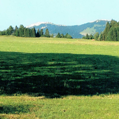 Appartement - La Clé des Champs