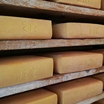 La Ferme du Breuil - LAVERNAY