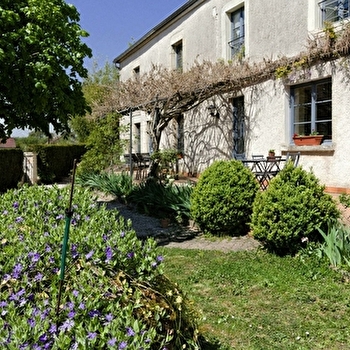 Le Tilleul de Ray - RAY-SUR-SAONE