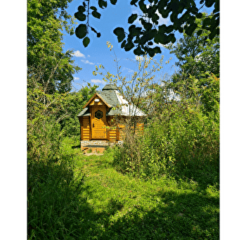 Kota Peacock - SAINT-USUGE