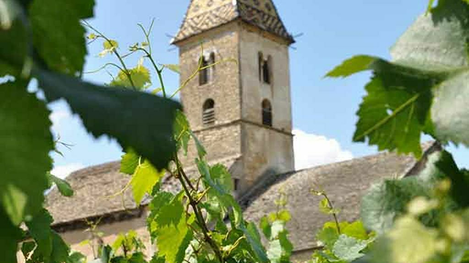 Escapades dans le vignoble - Circuit Bourgogne - 1/2 journée