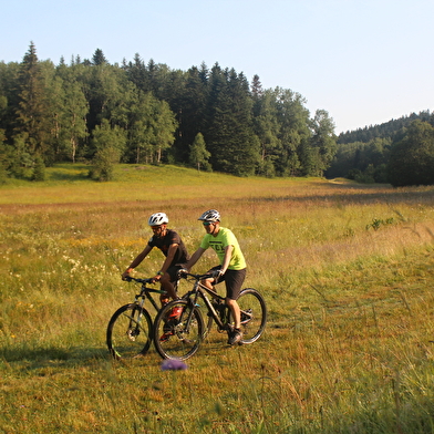 Parcours VTT 64 rouge - Montfalcon - Espace FFC Ain Forestière
