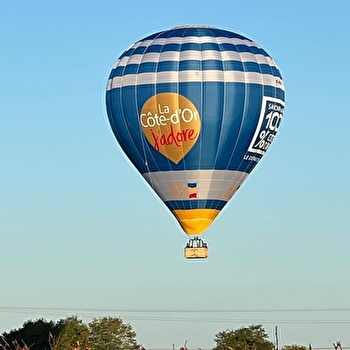 Prestigieuse Côte de Nuits - NUITS-SAINT-GEORGES