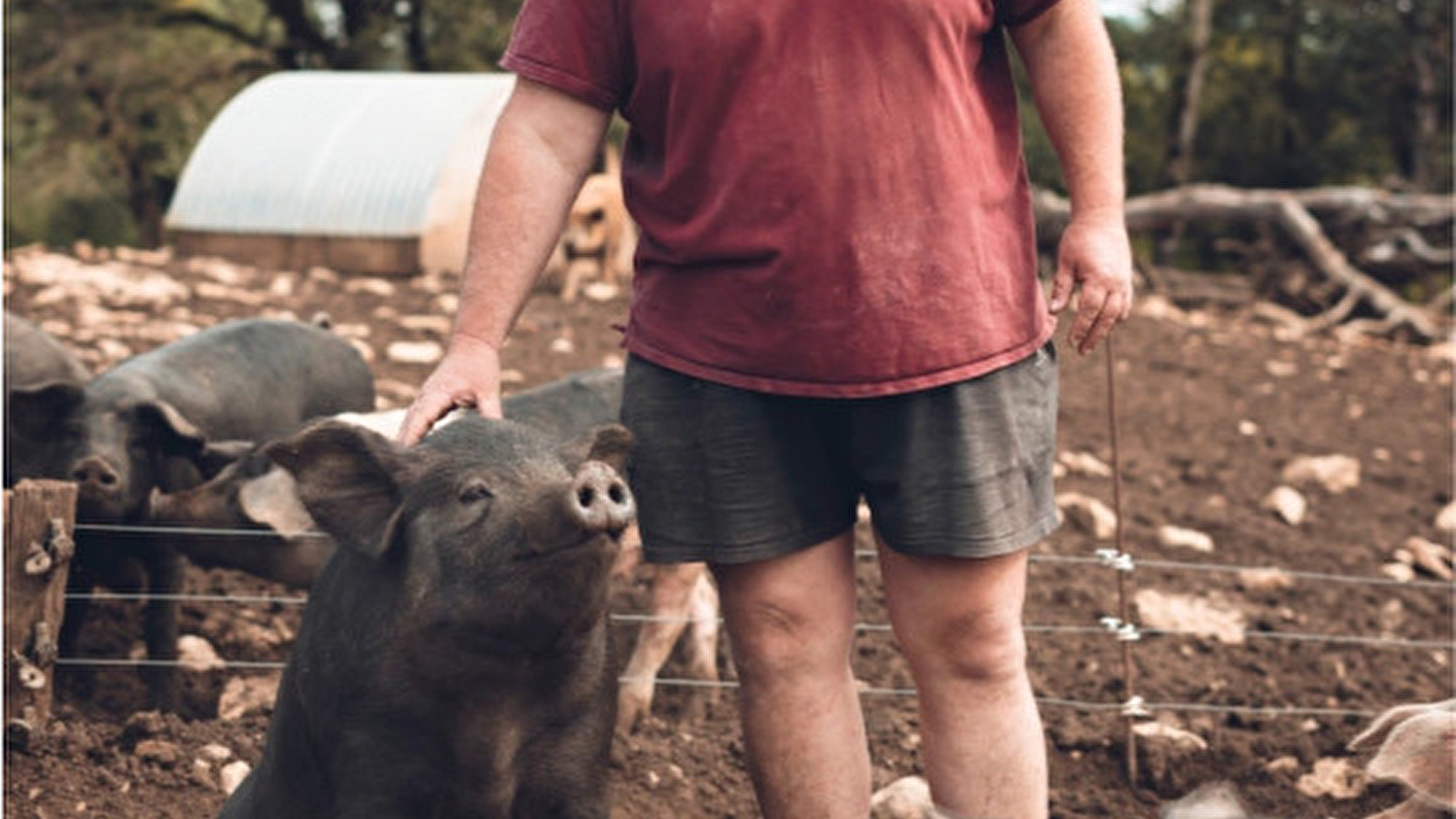 Ferme de l'Âne Eria - Parcours de découverte