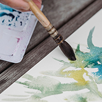 Aquarelle et botanique - BESANCON