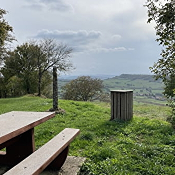 Aire de pique-nique - SAINT-MARTIN-DU-TARTRE