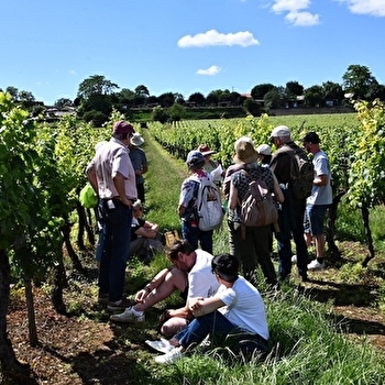 Festival de Bach à Bacchus - Visite théâtralisée  'La Clé des sols - A la recherche du pinot perdu' - MEURSAULT