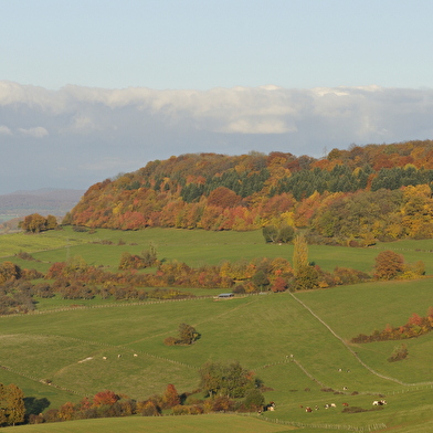 Pâturages et Forêts