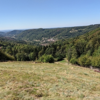 Le Grand Bois - HAUT-DU-THEM-CHATEAU-LAMBERT