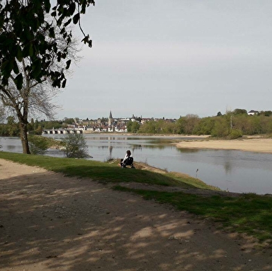 Du canal au vieux chêne