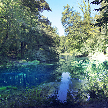 Source du Planey - ANJEUX