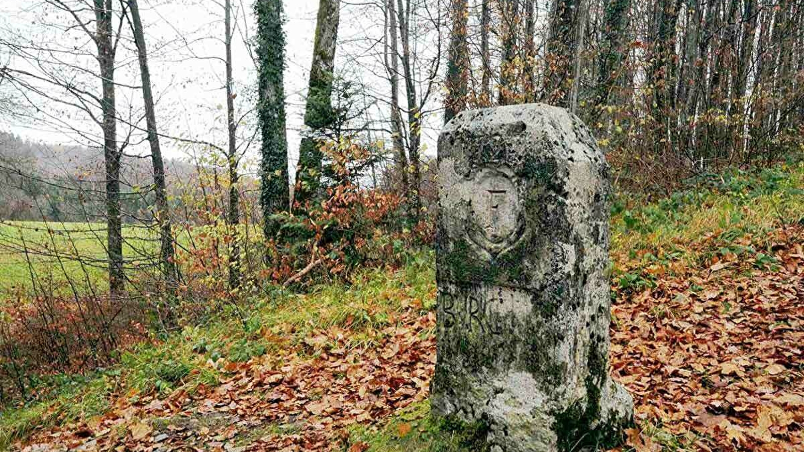 Les bornes de la principauté de Montbéliard