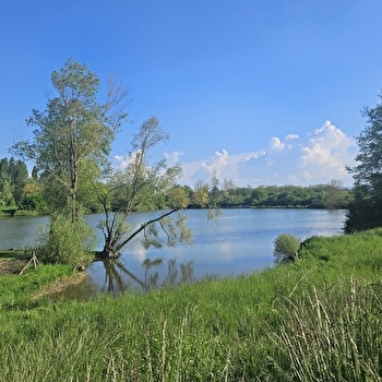 Parc des Alliaires - Vieux-Charmont