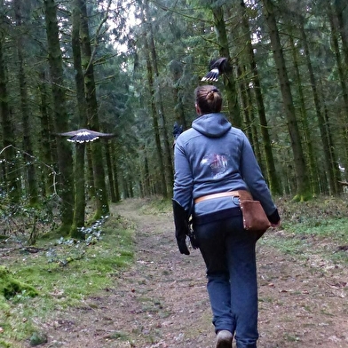 L'Echappée Morvan d'Ailes - Rando en liberté