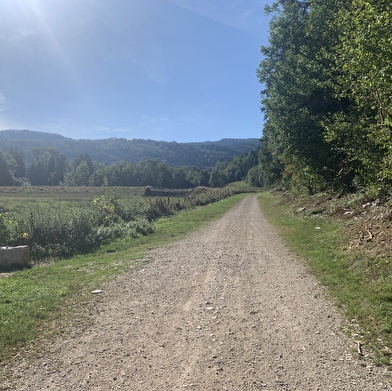 Randonnée - La Forêt de Niermes
