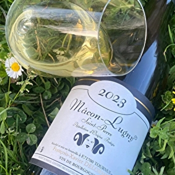 Domaine Lucie et François-Xavier Delorme - TOURNUS