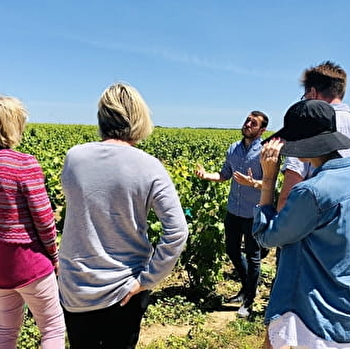 Safari Tours - Tour n°5 Côte de Nuits & 2 Dégustations - BEAUNE