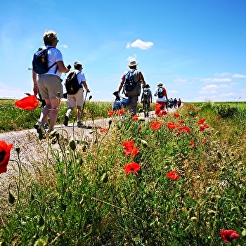 Via Francigena Canterbury-Rome en Haute-Saône - CHAMPLITTE