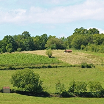 Bocage Brionnais - OYE