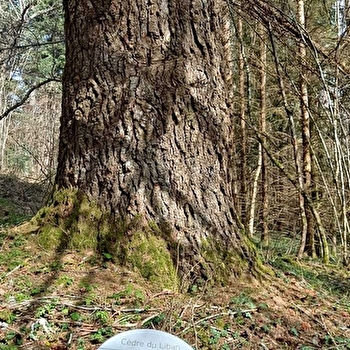 Arboretum d'Ardon - VALSERHONE