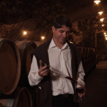 Bachelet Vincent - CHASSAGNE-MONTRACHET