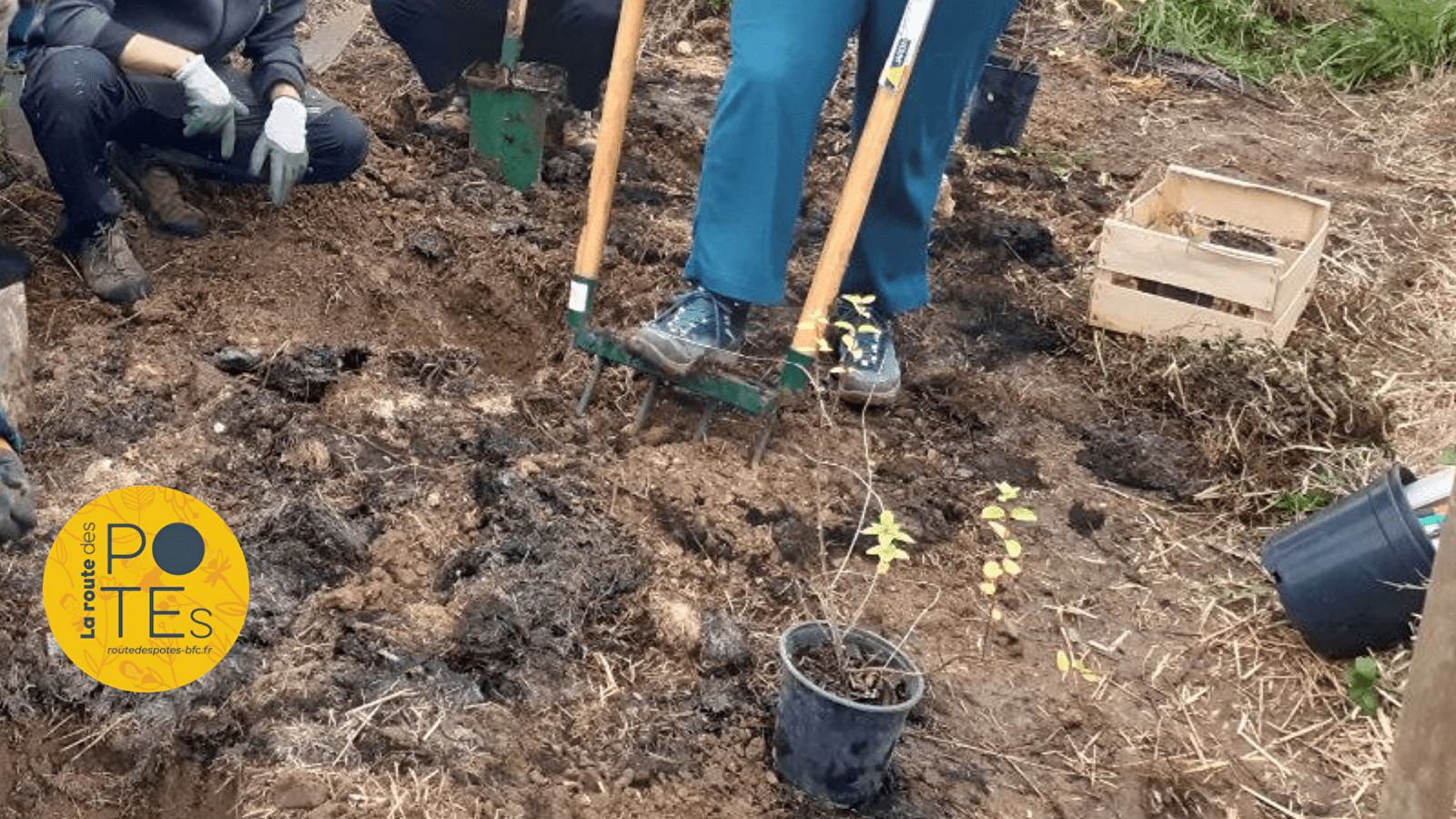 Les mains dans le jardin