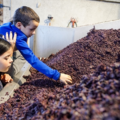 Dégustation & Visite de la distillerie Sab's
