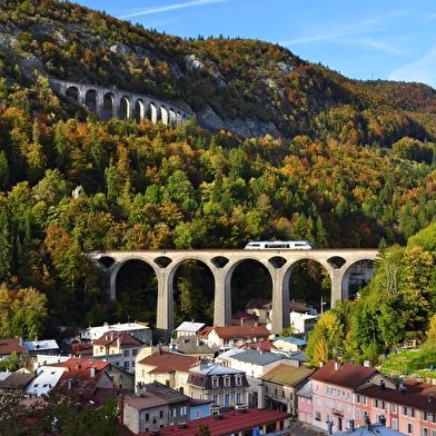 Ligne des Hirondelles de Saint-Laurent à Morez - Offre groupe